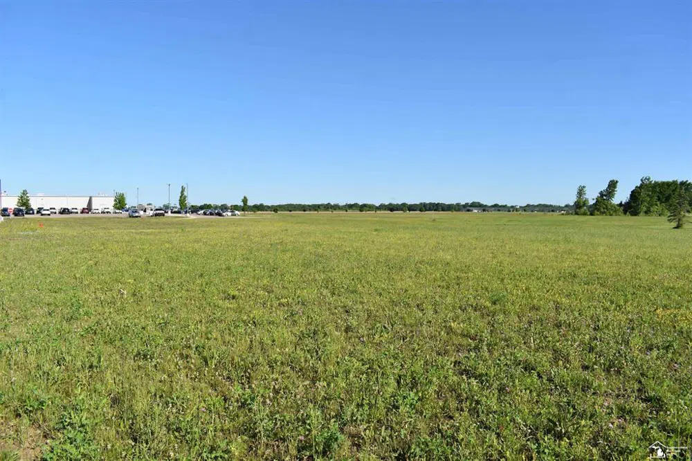 16488 Tecumseh Street Dundee Village, MI 48131
