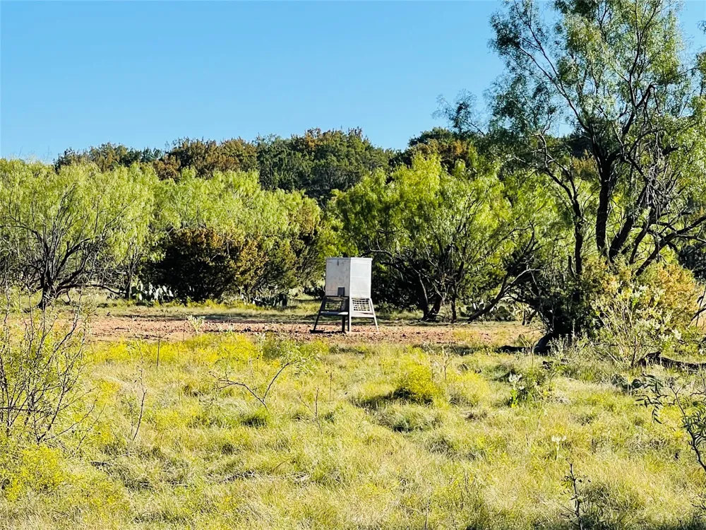 1089 Tennyson Road Bronte, TX 76933