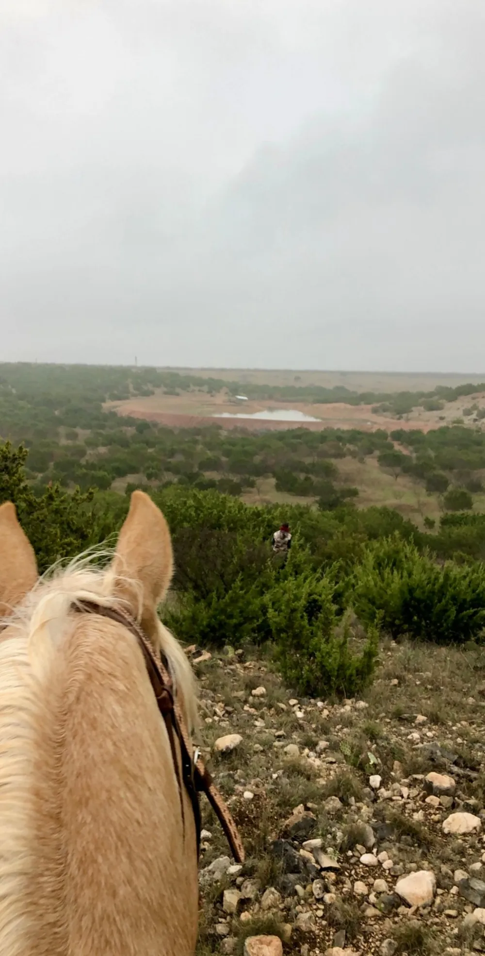 1089 Tennyson Road Bronte, TX 76933