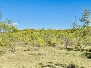 1089 Tennyson Road Bronte, TX 76933