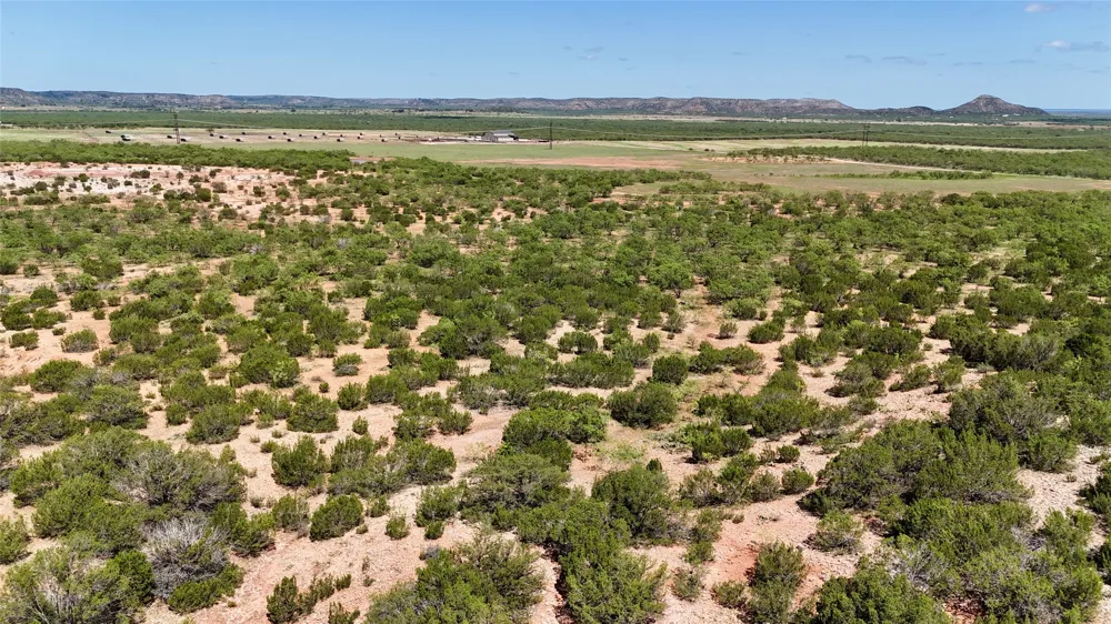 1089 Tennyson Road Bronte, TX 76933