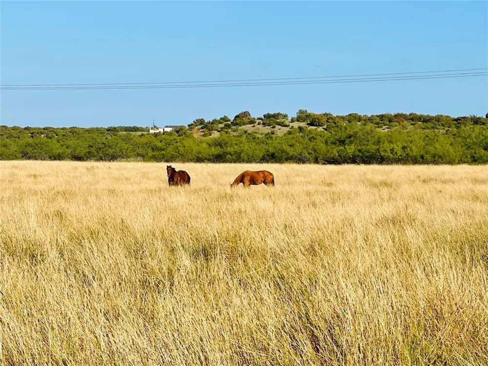 1089 Tennyson Road Bronte, TX 76933