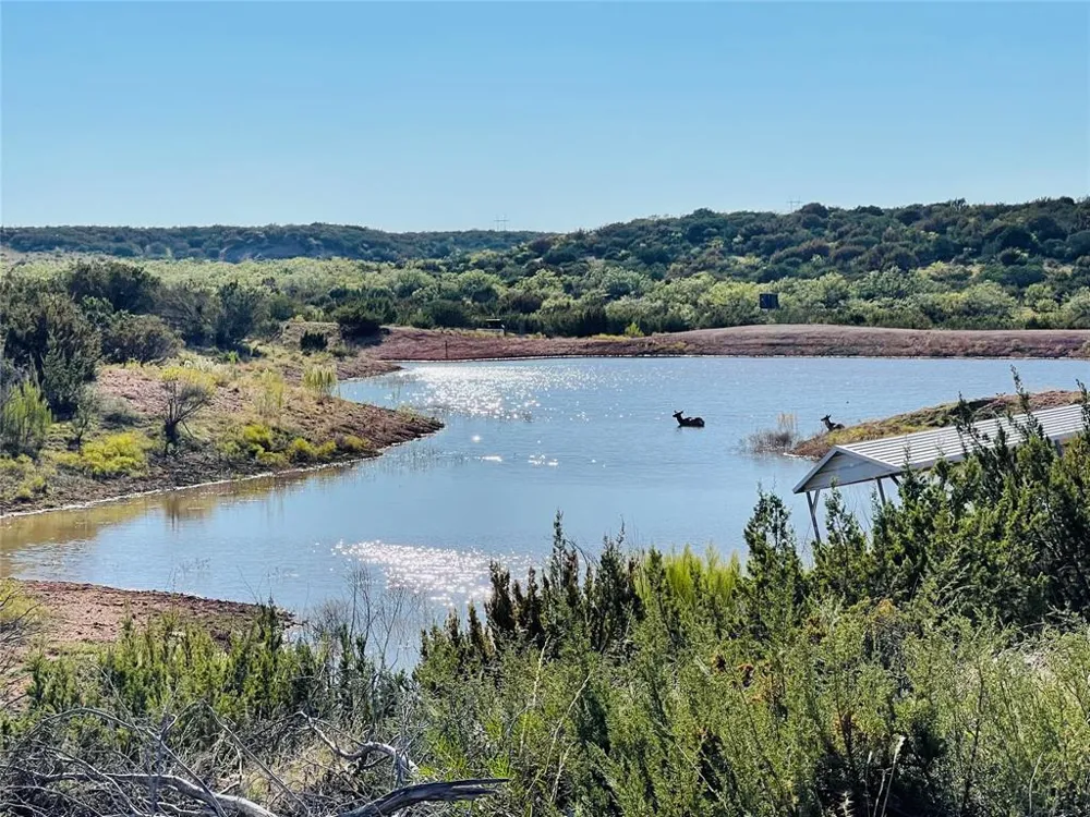 1089 Tennyson Road Bronte, TX 76933