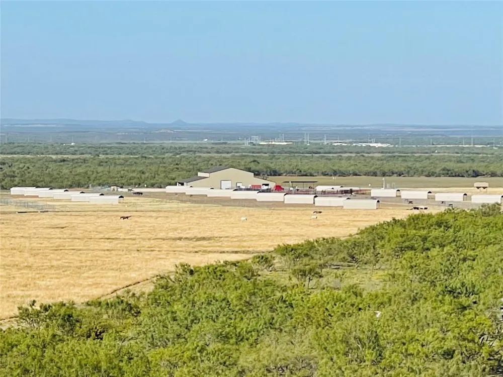 1089 Tennyson Road Bronte, TX 76933