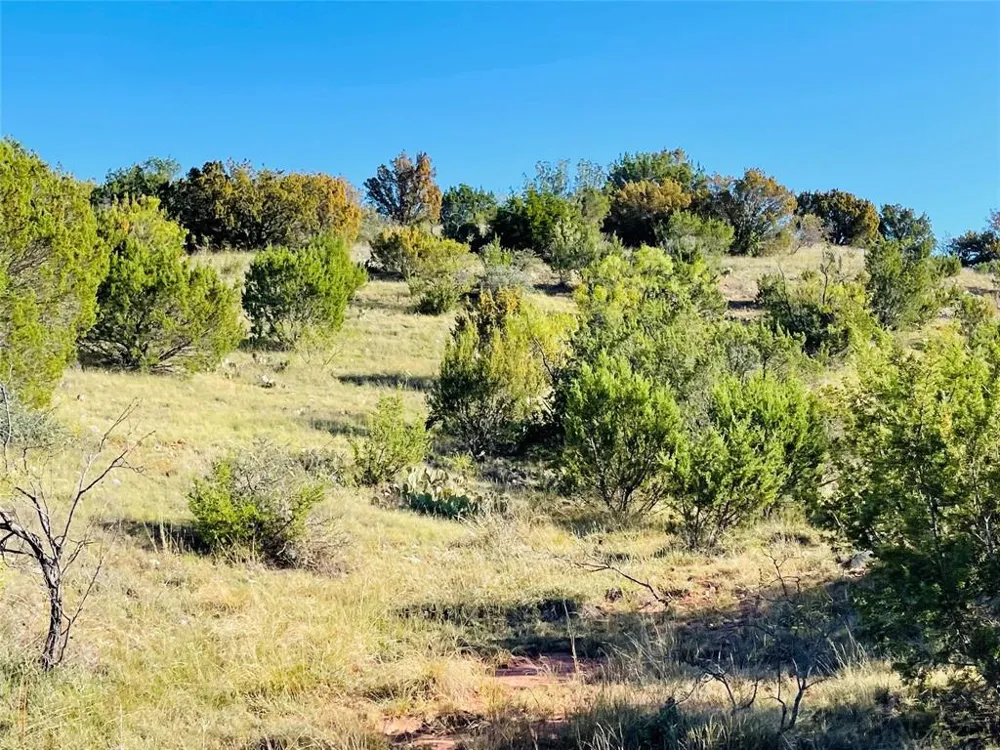 1089 Tennyson Road Bronte, TX 76933