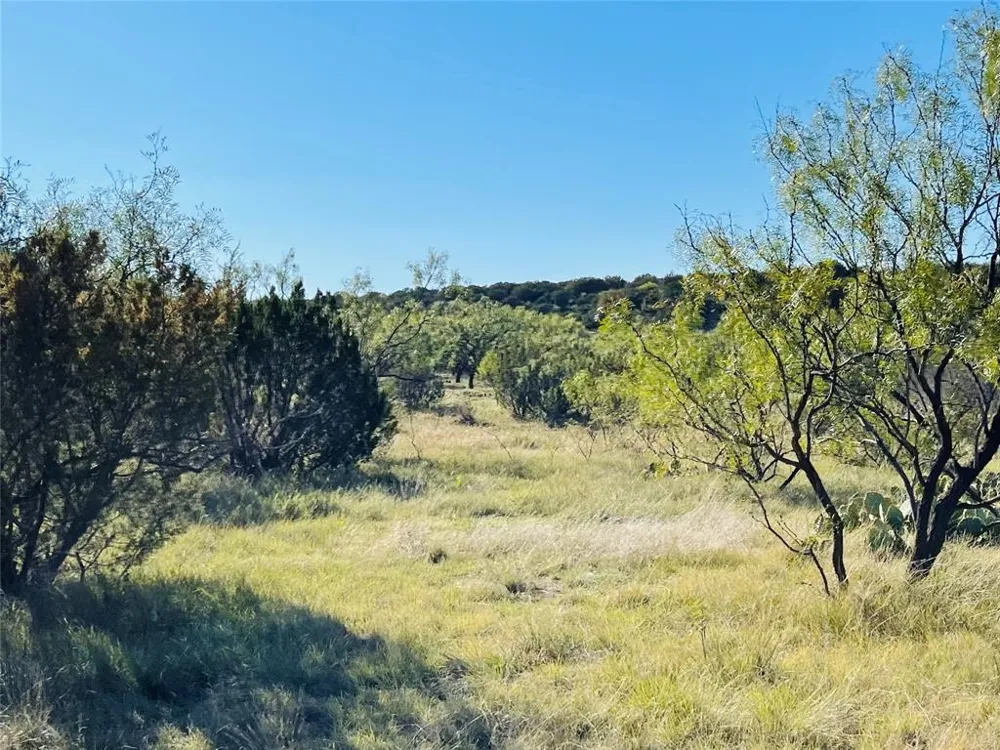 1089 Tennyson Road Bronte, TX 76933