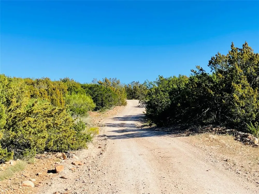 1089 Tennyson Road Bronte, TX 76933