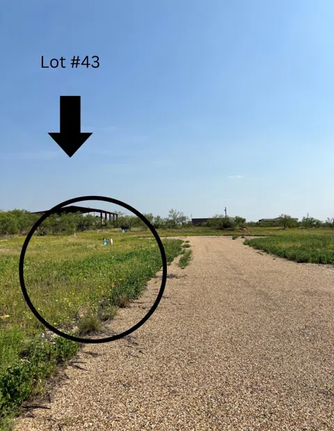 43 FM 3519