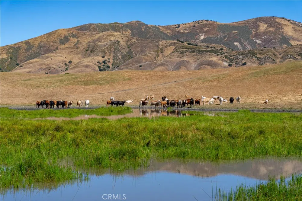 48400 Reliz Canyon Road Greenfield, CA 93927