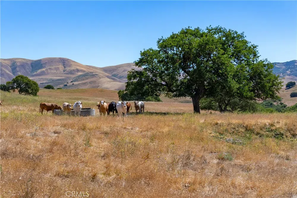 48400 Reliz Canyon Road Greenfield, CA 93927