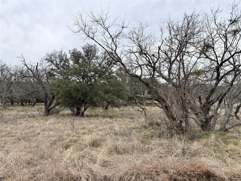 154 Lake Front Circle May, TX 76857