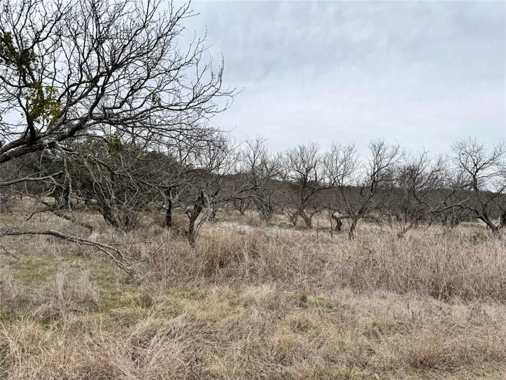 154 Lake Front Circle May, TX 76857