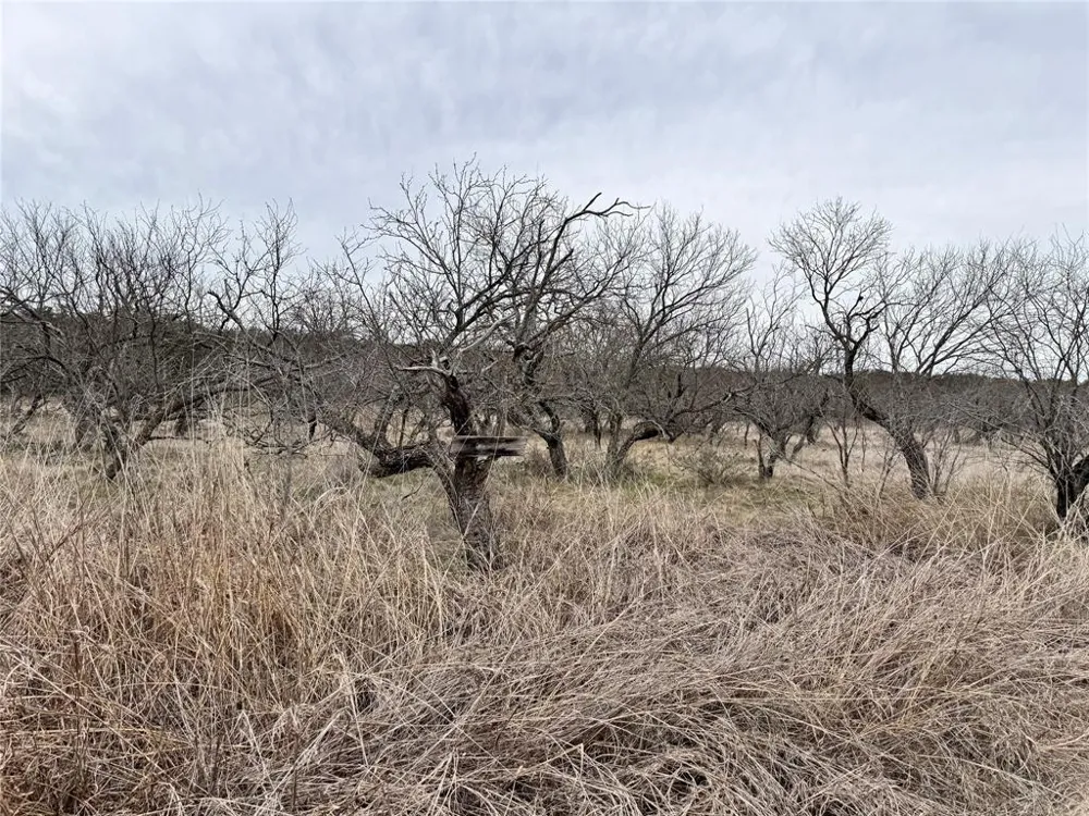 154 Lake Front Circle May, TX 76857