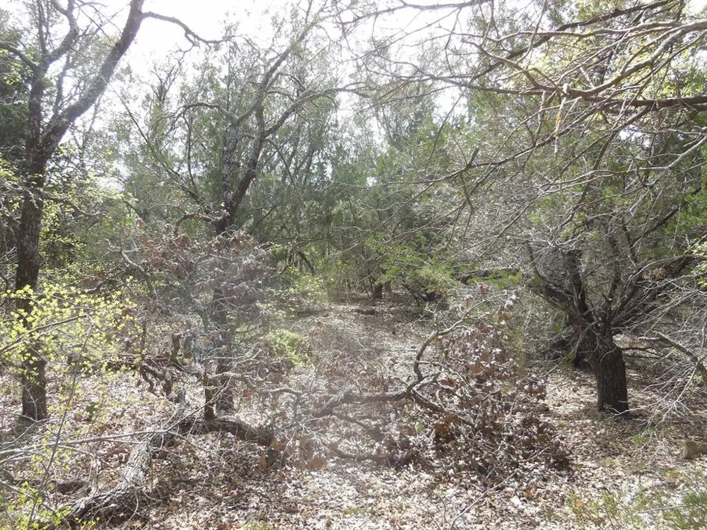 Southview Lane Eastland, TX 76448