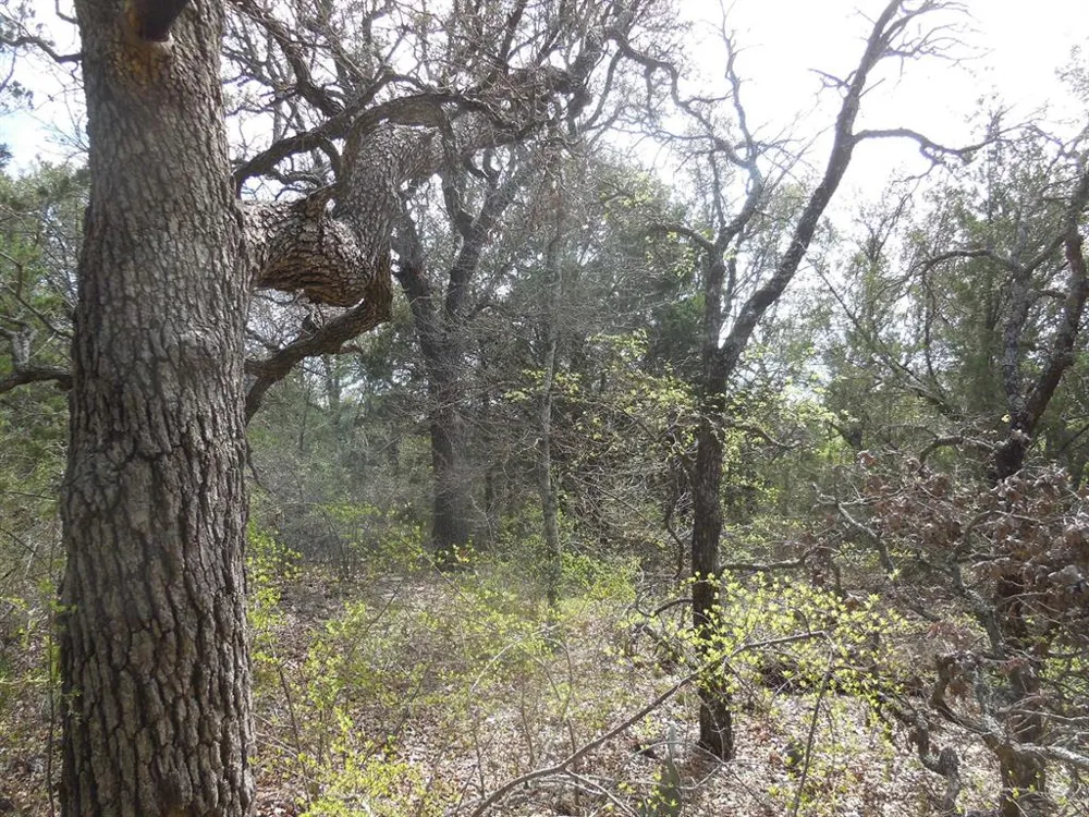 Southview Lane Eastland, TX 76448