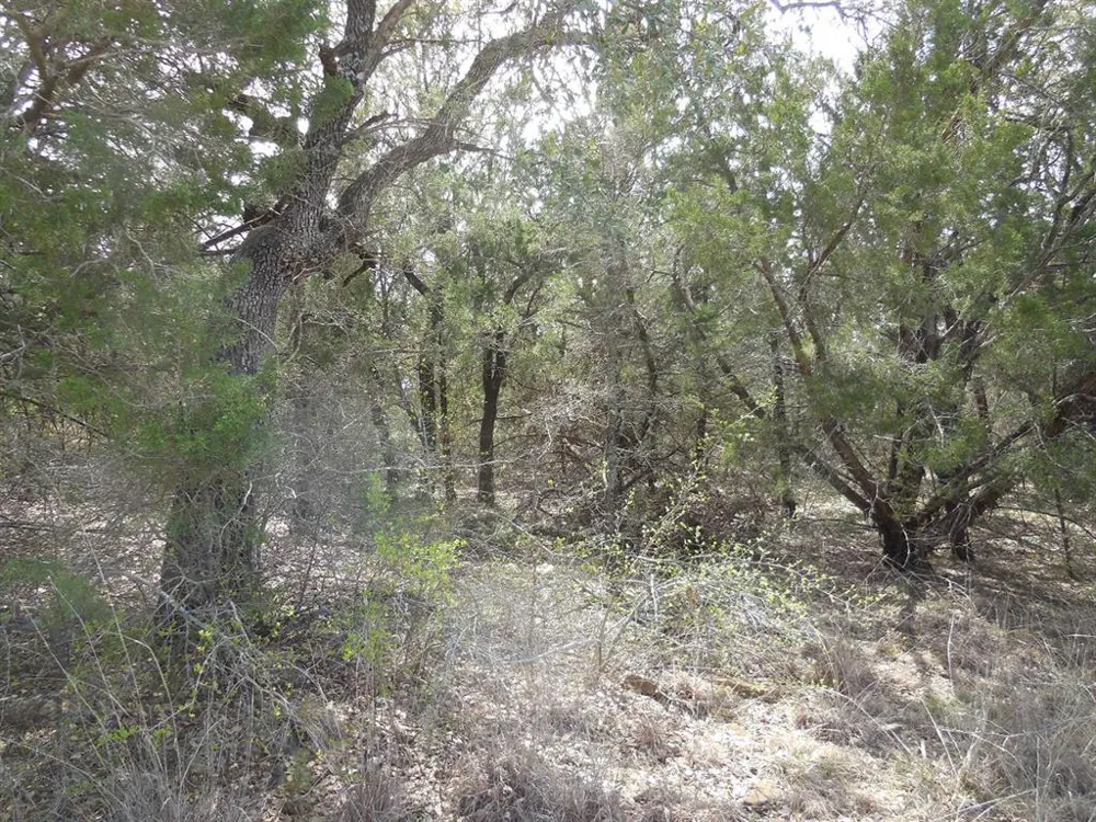 Southview Lane Eastland, TX 76448