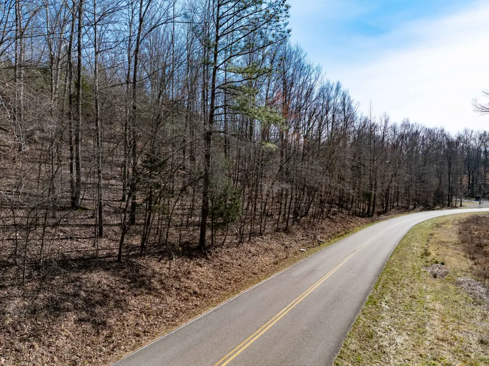 0 Deer Hollow Drive Parsons, TN 38363