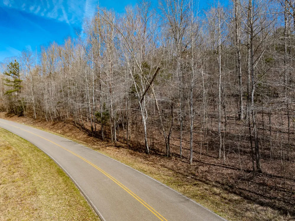 0 Deer Hollow Drive Parsons, TN 38363