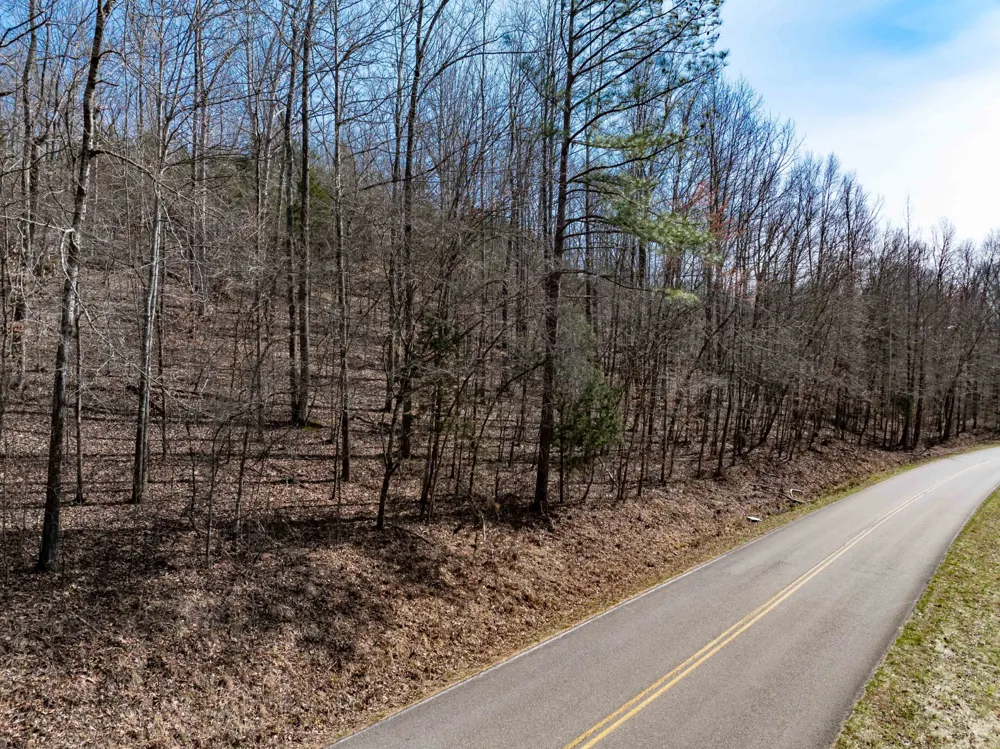 0 Deer Hollow Drive Parsons, TN 38363