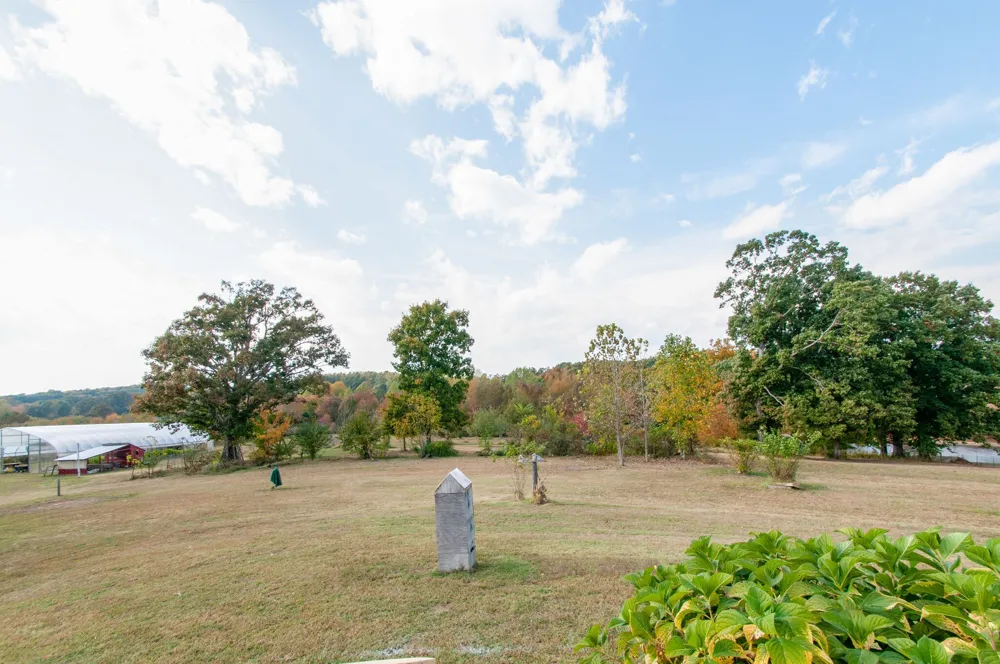 7690 Barnhill Rd Primm Springs, TN 38476