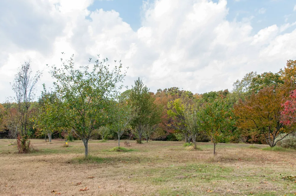7690 Barnhill Rd Primm Springs, TN 38476