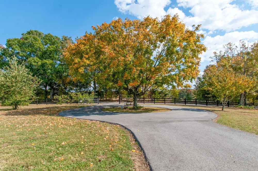 7690 Barnhill Rd Primm Springs, TN 38476