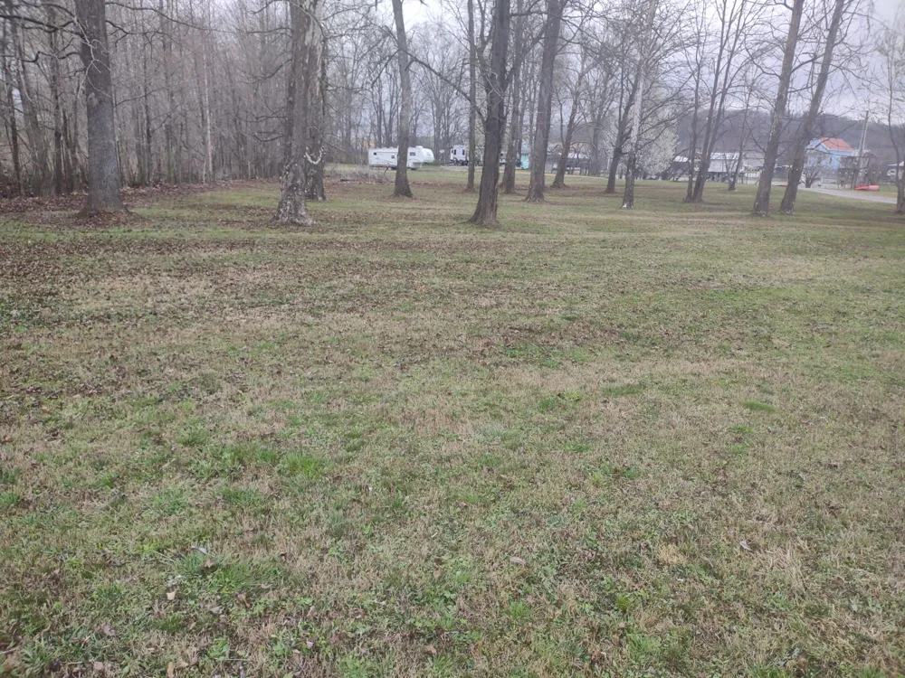 59 Lakeside Ln Decaturville, TN 38329