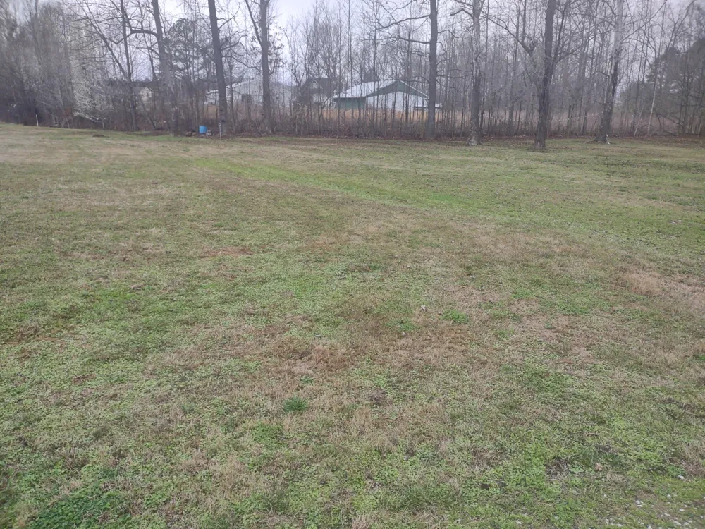 59 Lakeside Ln Decaturville, TN 38329