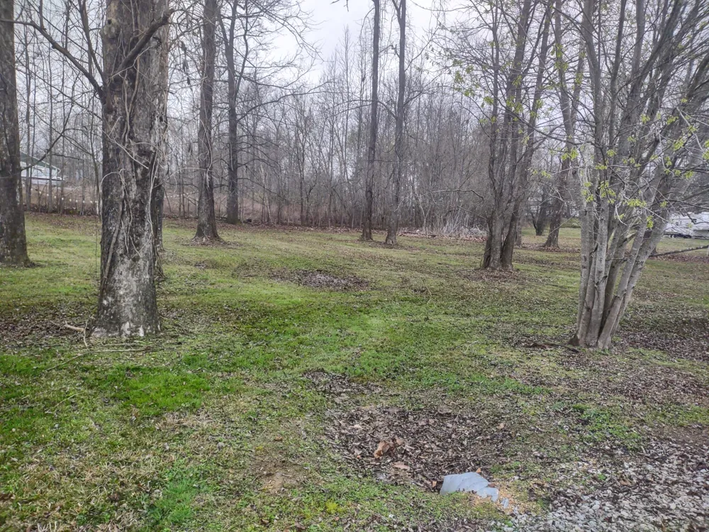 59 Lakeside Ln Decaturville, TN 38329