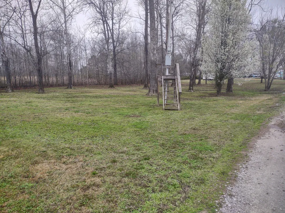 59 Lakeside Ln Decaturville, TN 38329