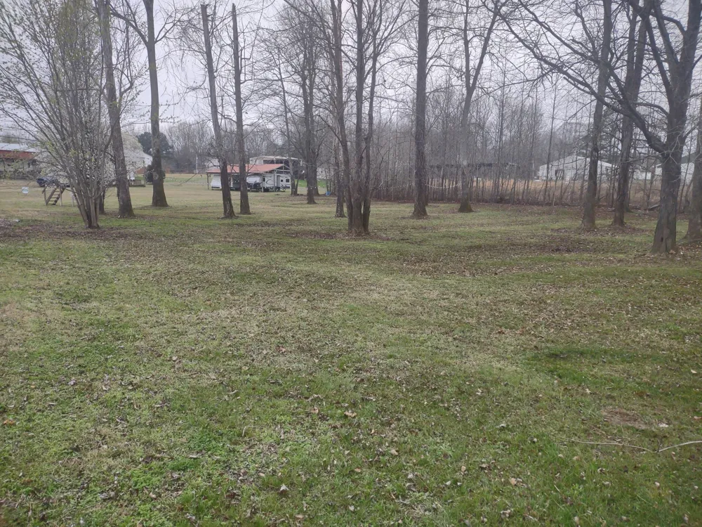 59 Lakeside Ln Decaturville, TN 38329