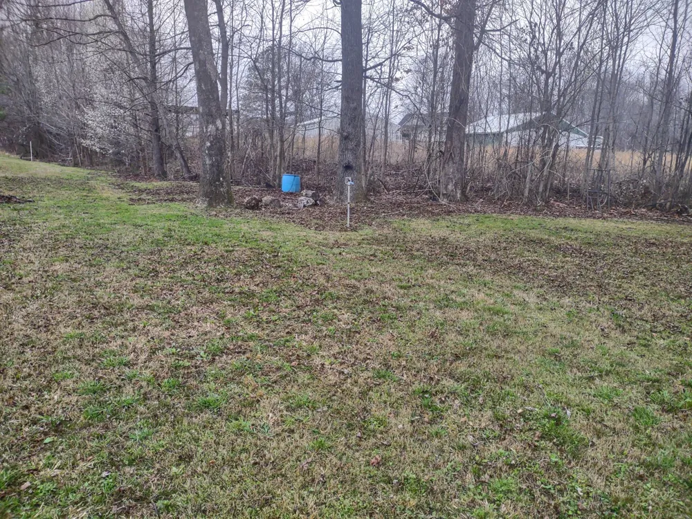59 Lakeside Ln Decaturville, TN 38329