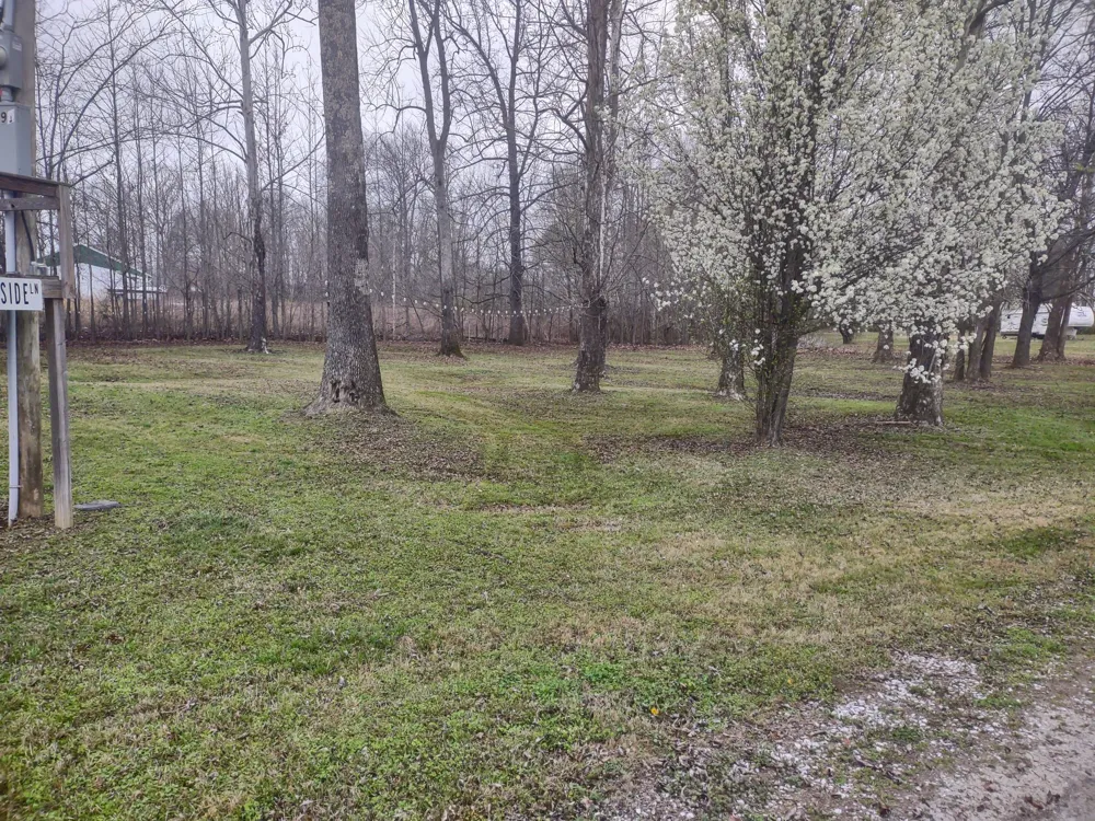 59 Lakeside Ln Decaturville, TN 38329