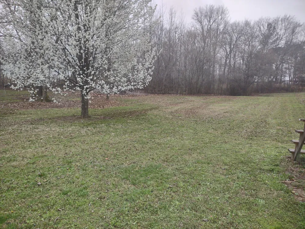 59 Lakeside Ln Decaturville, TN 38329