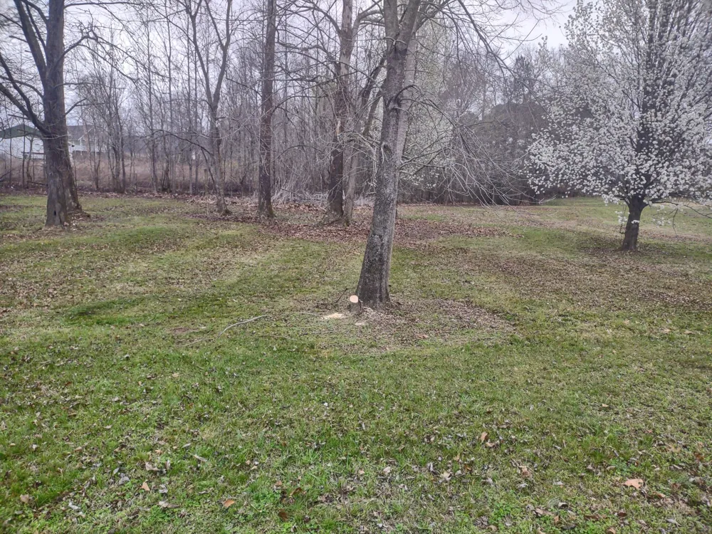 59 Lakeside Ln Decaturville, TN 38329