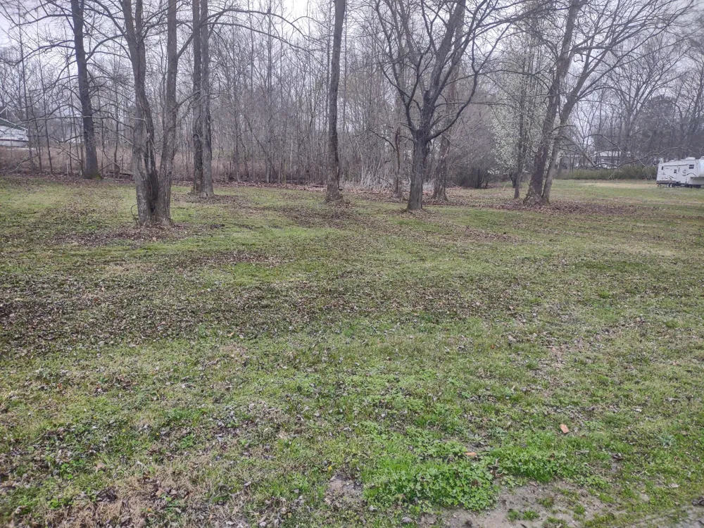 59 Lakeside Ln Decaturville, TN 38329