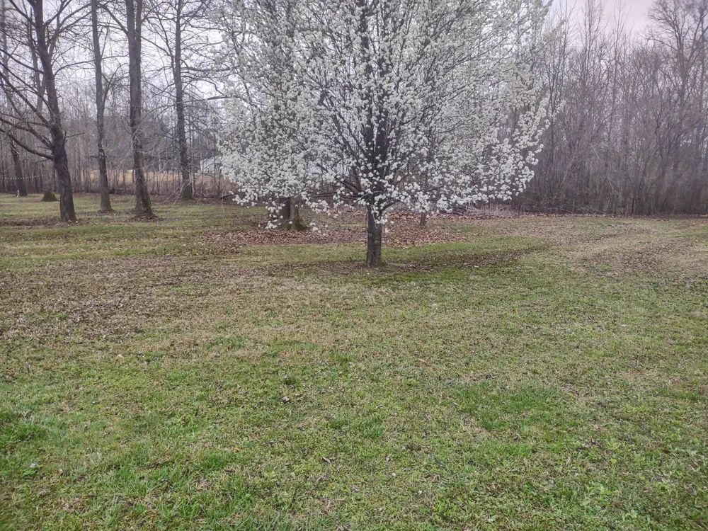 59 Lakeside Ln Decaturville, TN 38329