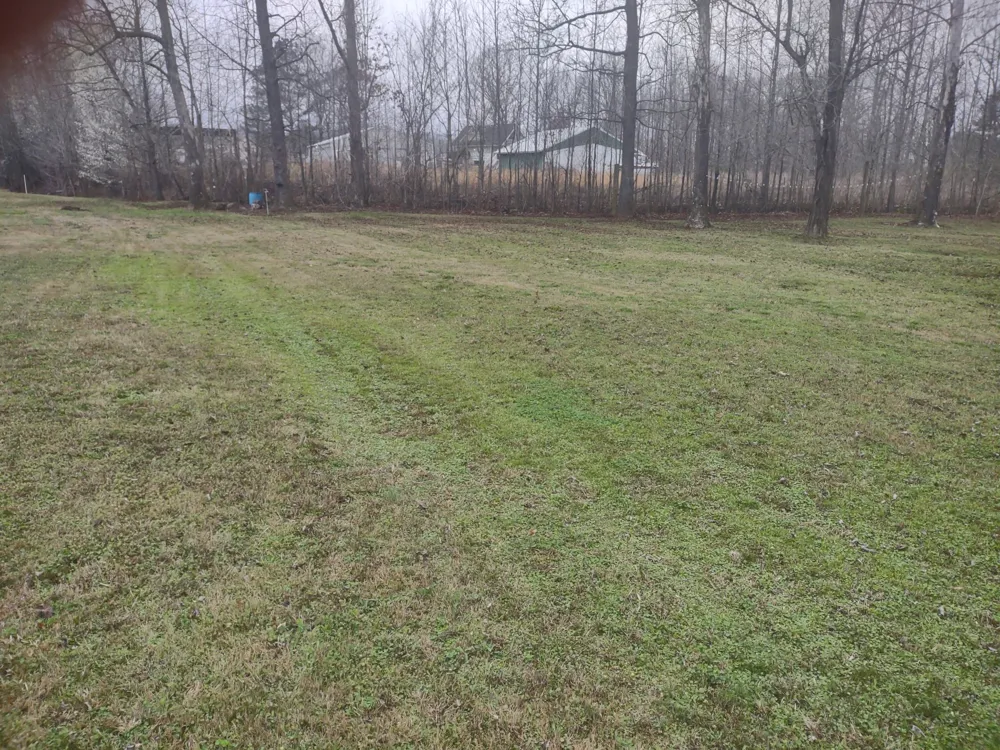 59 Lakeside Ln Decaturville, TN 38329