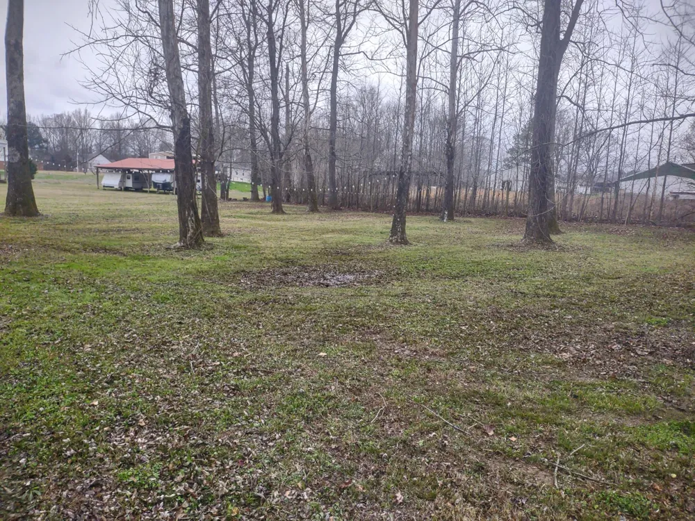 59 Lakeside Ln Decaturville, TN 38329