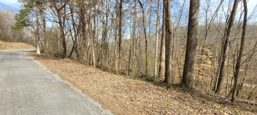 1 Lakeshore Cir Dover, TN 37058