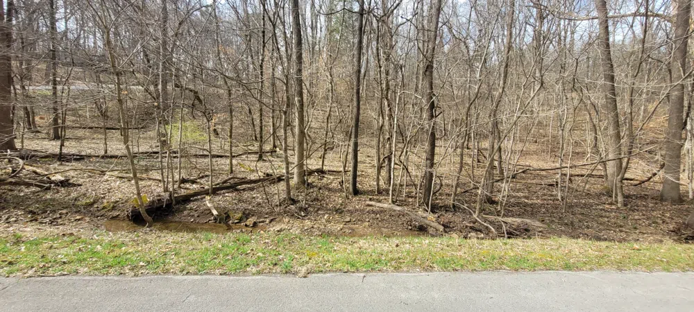 1 Lakeshore Cir Dover, TN 37058