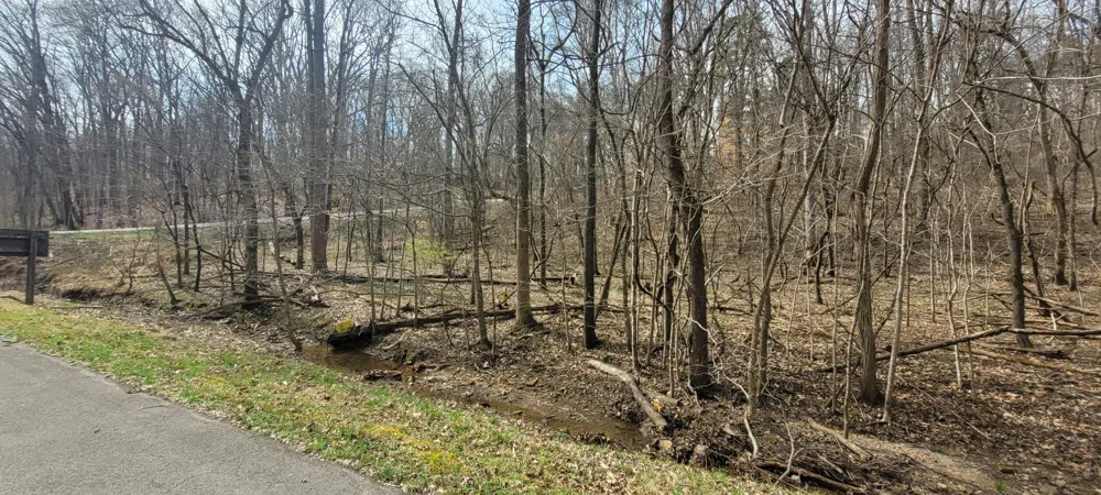 1 Lakeshore Cir Dover, TN 37058