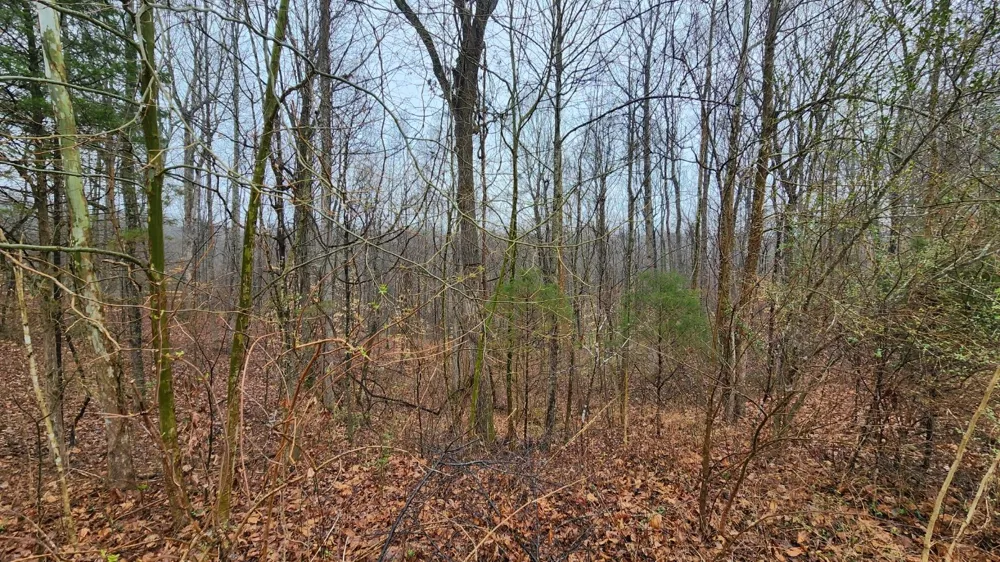 1120 Jacobs Ct Joelton, TN 37080