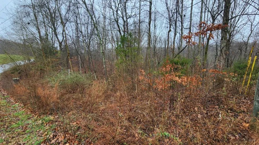1120 Jacobs Ct Joelton, TN 37080