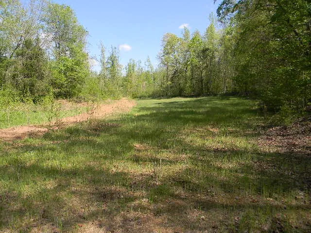 0 Ogden Road Waverly, TN 37185