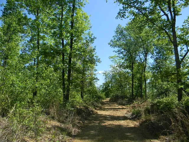 0 Ogden Road Waverly, TN 37185