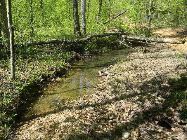 0 Ogden Road Waverly, TN 37185