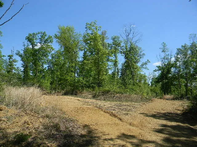 0 Ogden Road Waverly, TN 37185