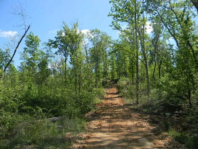 0 Ogden Road Waverly, TN 37185
