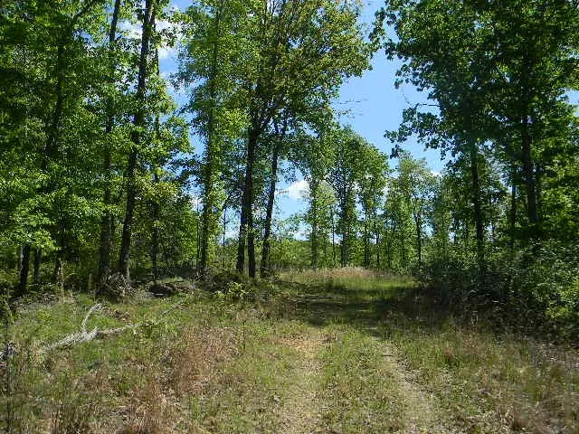 0 Ogden Road Waverly, TN 37185